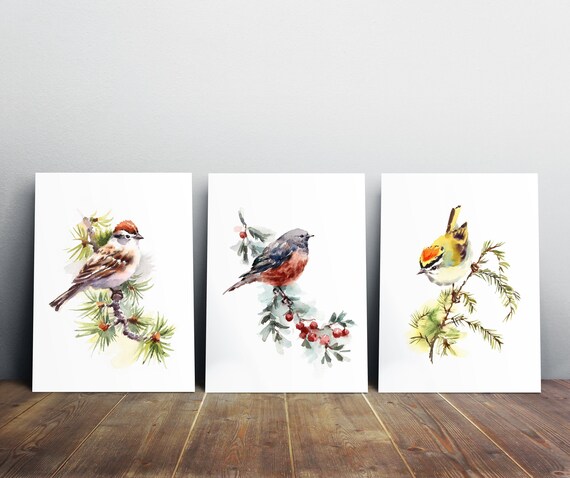 Bird Print Set 3 Watercolor Bird Art Set Bird Art Prints | Etsy