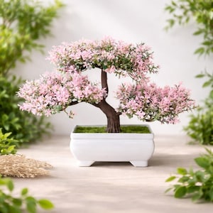 Peut inclure: Un bonsaï miniature avec des fleurs roses et des feuilles vertes. L'arbre a un tronc brun et est planté dans un pot rectangulaire blanc. Le pot est posé sur une surface claire, avec de la verdure en arrière-plan.