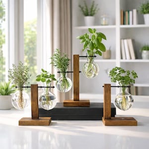 Könnte beinhalten: Fünf Glaskugelvasen mit verschiedenen grünen Kräutern, jede an einer schwarzen Metallstange auf einem dunklen Holzständer aufgehängt. Die Vasen sind mit Wasser gefüllt, wodurch die Wurzeln der Pflanzen sichtbar werden. Die Anordnung befindet sich vor einem hellen, neutralen Hintergrund.