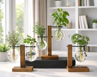 Vaso per piante in vetro idroponico, supporto in legno, stazione di propagazione, terrario da tavolo, fioriera per bulbi, coltivazione di erbe aromatiche, decorazione per ufficio, regalo