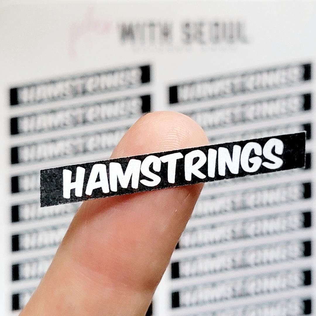 Planner Stickers | Hamstrings - Etsy