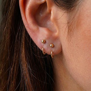 May include: Two small gold ball stud earrings and two thin gold hoop earrings worn in the earlobe. The jewelry features a polished metallic finish, with the studs positioned above the hoops in a stacked arrangement along the lower ear cartilage.