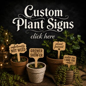 May include: Four wooden plant signs with engraved text in terracotta and speckled ceramic pots. The signs feature the phrases unfortunately NOT WEED, GROWER NOT A SHOW-ER, plant parent, and water me I DARE YOU. The text Custom Plant Signs click here appears.
