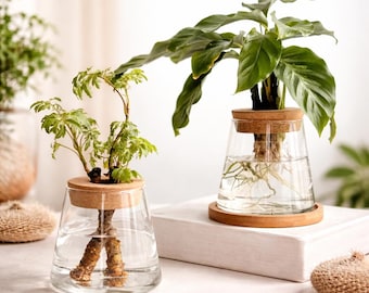 Glass Hydroponic Planter Vase with Bamboo Lid, Plant Propagation Jar, Modern Rooting Pot, Minimalist Home Decor, 3 Style Options