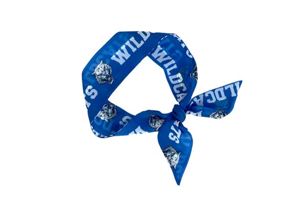 Kentucky Wildcats Skinny Scarf, UK Spirit Accessory, Game Day Fashion, Tailgate Gift, Blue White Fan Wrap