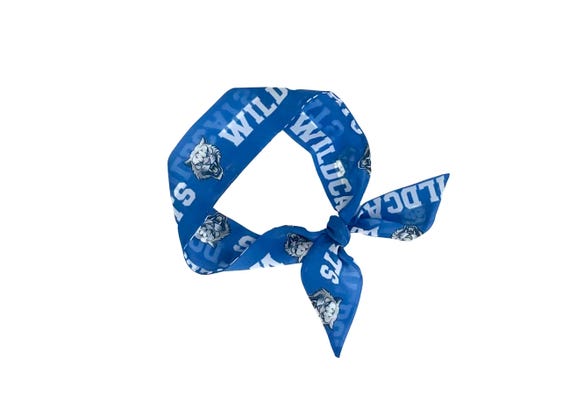 Villanova University Scarf - Fan, Student & Alumni Gift - Ready to Ship