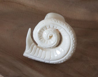Jewelry Shell Ring by SeaStyle