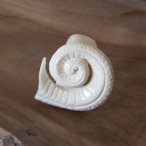 Könnte beinhalten: Ein weißes, geschnitztes, spiralförmiges Muschelobjekt auf einer Holzoberfläche.