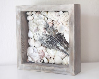 Beach Decor Shells from Gulf of Mexico Driftwood Frame by SEASTYLE