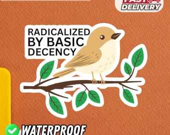 Radicalized by Basic Decency Sticker, Feminist Quote Sticker | Waterproof Laptop Water Bottle Gift