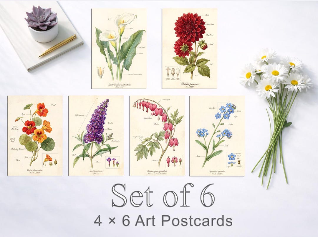 Vintage Botanical Postcard Set of 6 – 4x6 Art Postcards – Flower ...