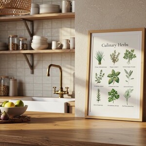 Puede incluir: Una impresión enmarcada titulada "Culinary Herbs" muestra ilustraciones botánicas de varias hierbas. La obra de arte está en un marco de madera clara, apoyada contra una pared en un entorno de cocina. La cocina cuenta con estantes de madera, un fregadero y un grifo de latón.