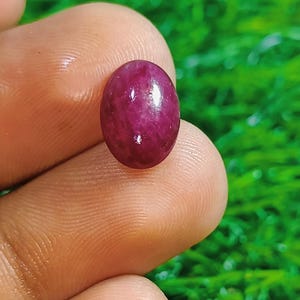 May include: A polished, oval-shaped ruby gemstone, held between fingers against a backdrop of green. The ruby exhibits a deep, saturated red color with a smooth, reflective surface, showcasing its natural beauty.