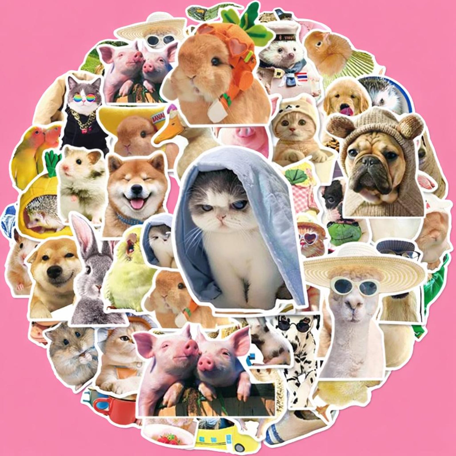 Cat and Dogs Stickers - Waterproof Vinyl Decals for Laptop, Phone - Etsy