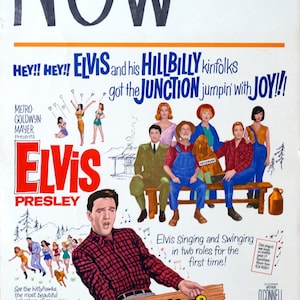 Primos de Kissin. Póster original de la película US 14 "x22" Window Card. Elvis Presley, Yvonne Craig, Cynthia Pepper, Glenda Farrell, Arthur O' Connell