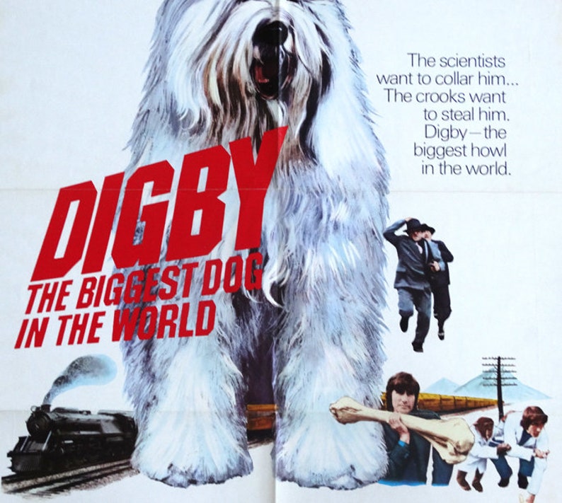 Digby the Biggest Dog in the World. 1974 Original US 27x41 Theater Movie Poster. FREE SHIPPING
