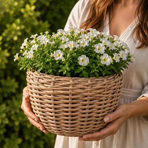 Può includere: Un cesto in vimini intrecciato di colore marrone chiaro di forma rotonda contenente un denso grappolo di piccoli fiori bianchi con centri gialli e foglie verde brillante. Il cesto presenta un motivo intrecciato e un'ampia apertura circolare.