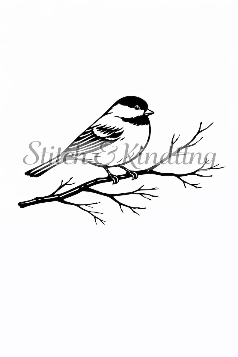 Pacific Northwest Bird SVG Bundle | Raven, Eagle, Heron, Chickadee, Owl ...