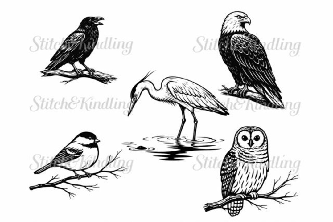 Pacific Northwest Bird SVG Bundle | Raven, Eagle, Heron, Chickadee, Owl ...