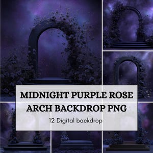 Op de afbeelding: Een digitale achtergrond met een donkerpaarse boog versierd met rozen tegen een sterrenhemel. De tekst MIDNIGHT PURPLE ROSE ARCH BACKDROP PNG 12 Digital backdrop is in het midden van de afbeelding geplaatst en toont diverse scènes.