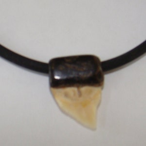 Vintage Fossil Sharks Tooth Necklace