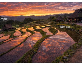 Japanische Reisterrasse Sonnenuntergang Wandkunst - "Tanada Landschaft / Goldene Stunde Spiegelung / Authentische Japan Landschaft / Zen Wohnkultur Digital