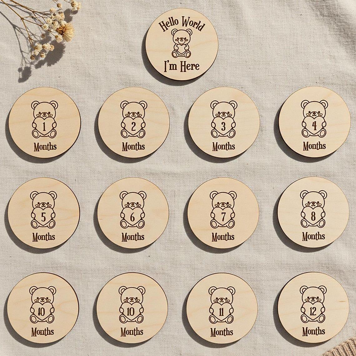 Laser Cut Teddy Bear Baby Milestone SVG | Monthly Baby Discs 1-12 ...
