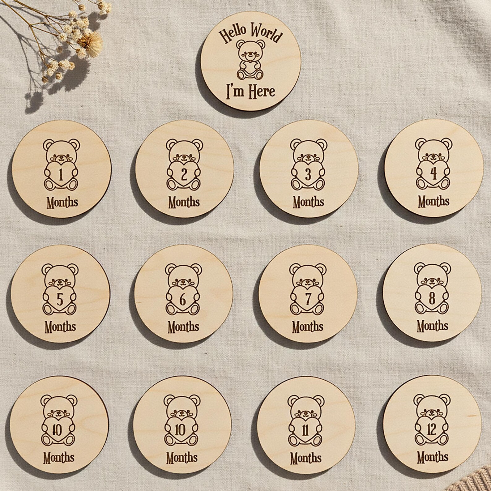 Laser Cut Teddy Bear Baby Milestone SVG | Monthly Baby Discs 1-12 ...