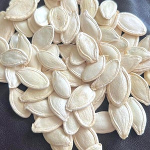 May include: A collection of raw, pale tan pumpkin seeds. The seeds are oval in shape with a slightly ridged texture and a creamy hue. They are spread across a dark surface, creating a natural, organic arrangement. The seeds appear ready for roasting or eating.