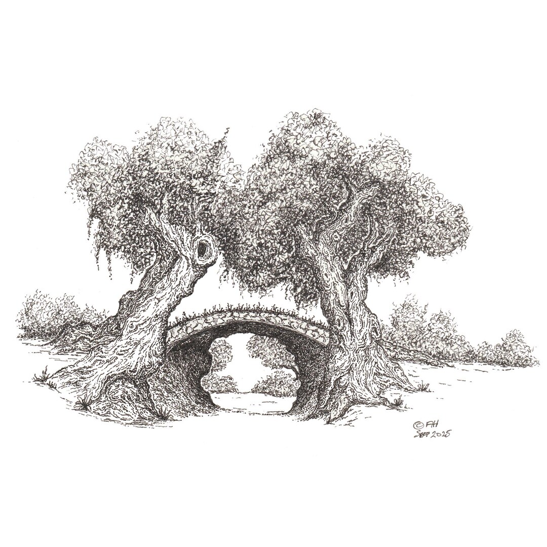 Original Ink Artwork Drawing Print Tree Arch - Etsy