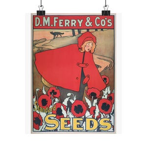 May include: A vintage poster featuring a woman in a red cloak amidst red poppies. The poster has the text "D.M. Ferry & Co's" at the top and "Standard SEEDS" at the bottom. A black clip holds the poster.