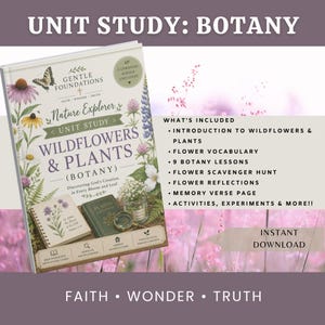 Wildflower & Plant Study for Homeschool | Botany Unit Study | Charlotte Mason Style | Flower Science Activities | Printable PDF | Grades K–5