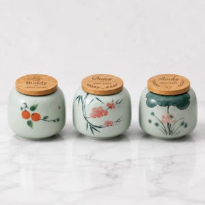 Gepersonaliseerde gedenkurn voor huisdieren, handgemaakte keramische urn van 203 ml voor de as van honden en katten, op maat gemaakte crematieurn