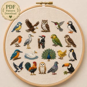 Handborduurpatroon met vogels, ontwerp voor vogelaars in de achtertuin, doe-het-zelf pauw, uil en toekan natuurborduurwerk in een borduurring (PDF digitale download)