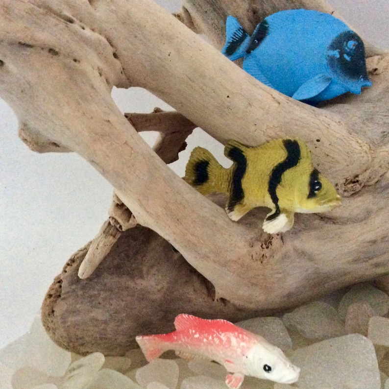 ready to ship surf tumbled Driftwood from Hawaii beach decor Taxidermy Wood Mount Aquarium Driftwood Terrarium photo prop
