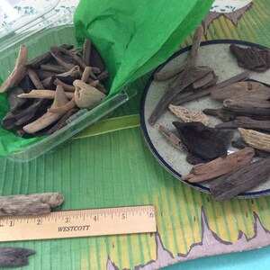 Driftwood from Hawaii Island small pieces pick the amount perfect for art projects or kids crafts image 7