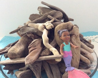 Driftwood from Hawaii Island - 110+ pieces - perfect for photo props - floral display & art projects
