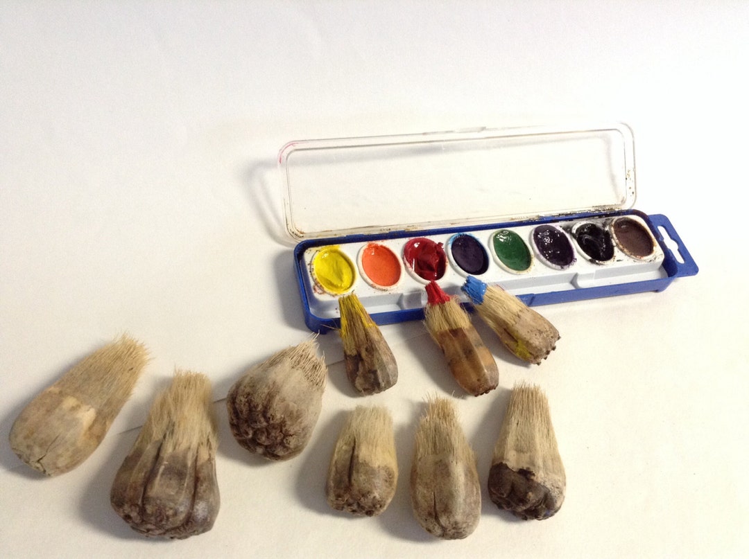  LOT 12: Paint Brushes 1 Inch - Painting - Painter