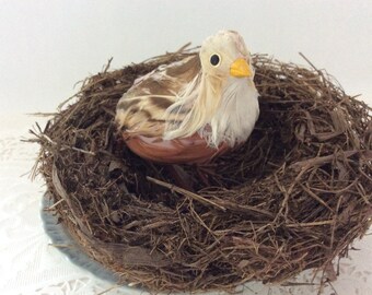 Natural Curios - Bird's nest - 5” - real - science fair - Rustic Decor - wildlife display  - photo prop