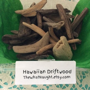 Driftwood from Hawaii Island small pieces pick the amount perfect for art projects or kids crafts image 3