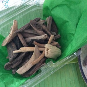 Driftwood from Hawaii Island small pieces pick the amount perfect for art projects or kids crafts image 5