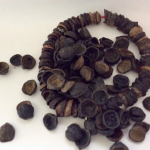 Kukui Nut Lei Half pieces Hawaiian lei all natural unpolished surf tumbled Candlenuts image 3