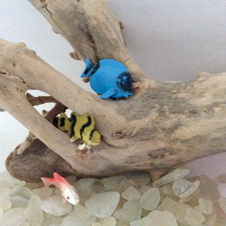 ready to ship surf tumbled Driftwood from Hawaii beach decor Taxidermy Wood Mount Aquarium Driftwood Terrarium photo prop