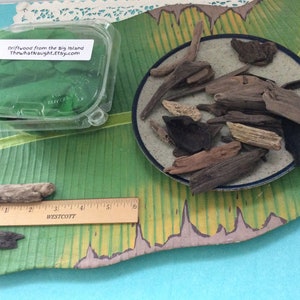 Driftwood from Hawaii Island small pieces pick the amount perfect for art projects or kids crafts image 6