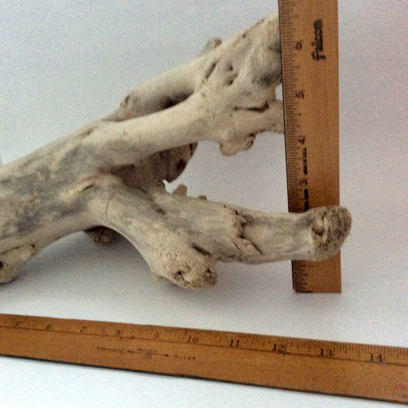 ready to ship surf tumbled Driftwood from Hawaii beach decor Taxidermy Wood Mount Aquarium Driftwood Terrarium photo prop