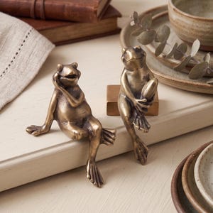 Frog Cabinet Knobs Animal Drawer Pulls Decorative Furniture Hardware Cute Nature Inspired Handles for Kitchen Cabinet Dresser Drawer Decor