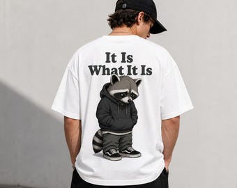 Meme de mapache triste PNG Es lo que es Diseño