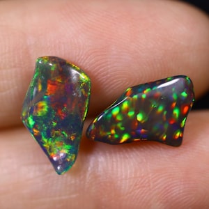 May include: Two black opal gemstones with vibrant flashes of color. The opals display a mix of green, red, and yellow hues, creating a striking visual effect. The stones have irregular shapes and a polished surface, showcasing their natural beauty.