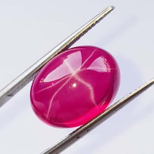 Rubis étoilé du Sri Lanka : forme ovale pour cabochon de bague, 17 carats (12 x 16 x 7 mm)
