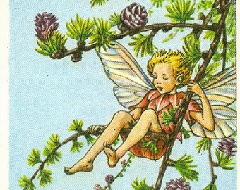 The Larch Fairy Cicely Mary Barker Flower Fairies of the Spring Vintage book page Nursery Decor